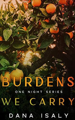 Burdens We Carry (One Night #3)